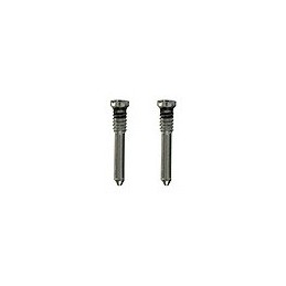 KIT VITI TORX APPLE IPHONE 16 SILVER (SET 2 PZ.)